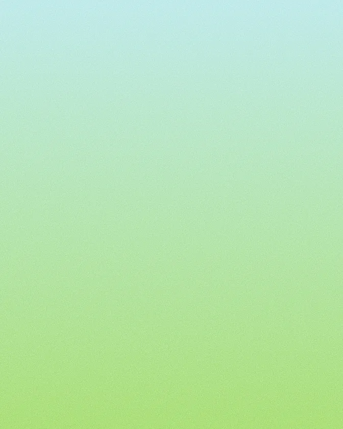 portfolio-3